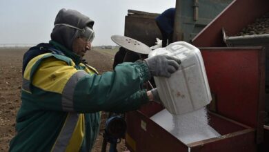 Ученые из Петербурга работают над превращением органических отходов в удобрение
