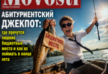 Изображение, иллюстрирующее поиск бюджетных мест для абитуриентов