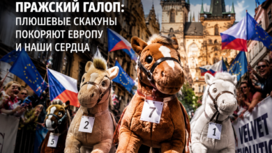 Плюшевые скакуны на фоне европейских достопримечательностей