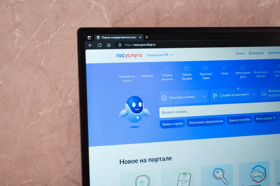 Иллюстрация цифрового пакета с различными справками от Госуслуг