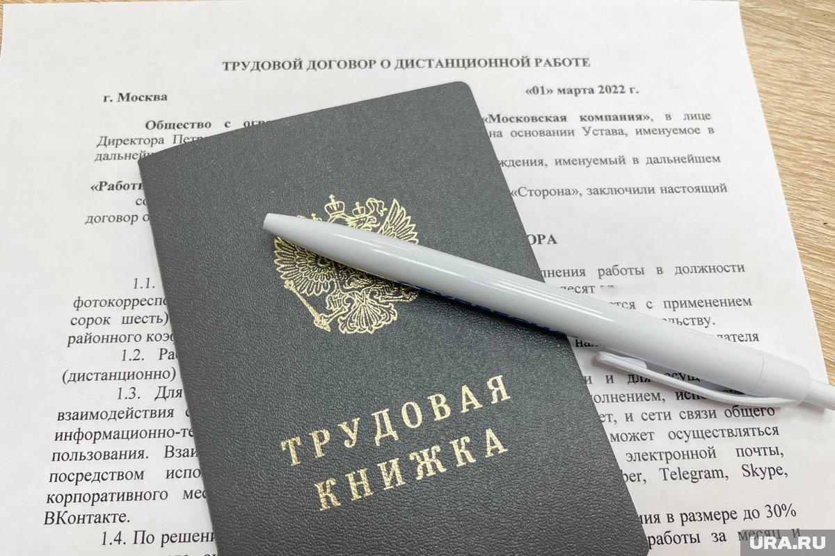 Иллюстрация о поиске работы для новичков без опыта