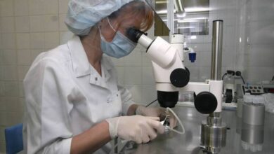 Изображение, иллюстрирующее геном будущего ребенка, анализируемый по капле крови матери