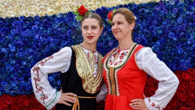 Изображение, иллюстрирующее музыкальную рулетку с SHAMANом и березами