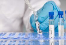 Изображение британских ученых, работающих над универсальной панацеей от вирусов
