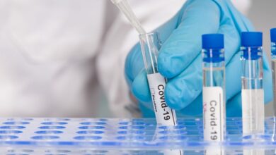Изображение британских ученых, работающих над универсальной панацеей от вирусов