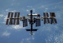 Астронавты нового поколения готовятся к рождению в космосе