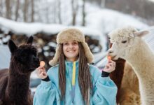 Гигантские водосвинки и альпаки в горах Сочи