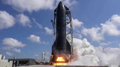 Илон Маск готовит гигантские палочки для суши на фоне Starship и башни