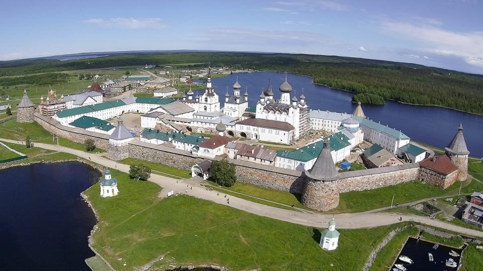 Тайная жизнь старовозрастных лесов Русского Севера с изображением грибов