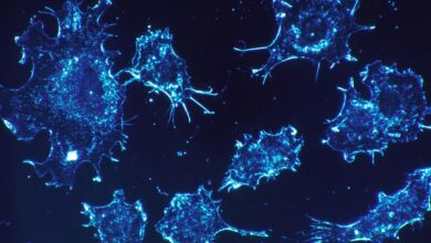 Изображение, иллюстрирующее новый метод лечения диабета без использования сахара