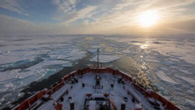 Изображение генеральной уборки на дне моря в Тикси, где удаляются ржавые конструкции и мусор.