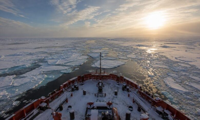 Изображение генеральной уборки на дне моря в Тикси, где удаляются ржавые конструкции и мусор.