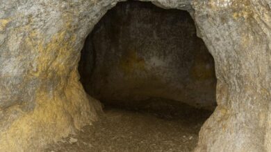 Изображение баварских подземелий с видимыми норами и туннелями