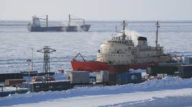 Драконы в ушанках на фоне Северного морского пути
