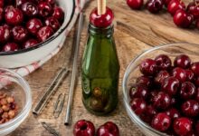 Белорусская вишня и черешня - национальное сокровище республики