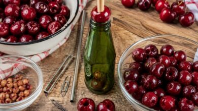 Белорусская вишня и черешня - национальное сокровище республики