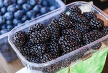 Фиолетовые пальцы, показывающие на шелковицу и пищеварительные процессы.