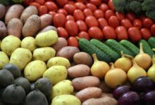 Тарелка с разнообразными здоровыми продуктами для долгой жизни