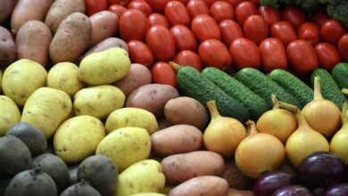 Тарелка с разнообразными здоровыми продуктами для долгой жизни
