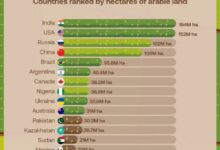 Аграрные гиганты на фоне полей с урожаем и улыбающимися фермерами