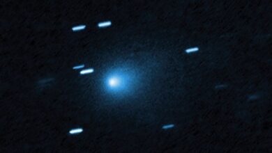 Изображение межзвездной кометы 3I/ATLAS, пролетающей через солнечную систему
