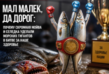 Изображение мойвы и селедки на фоне океана