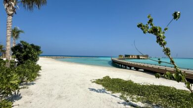 Простой рыбак выловил парфюмерное сокровище из океана