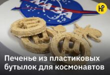Изысканное десертное блюдо, созданное из переработанного пластика