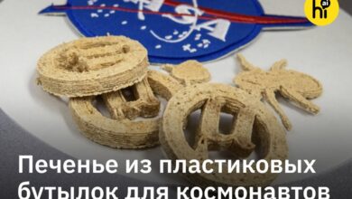 Изысканное десертное блюдо, созданное из переработанного пластика