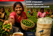 Чашка индийского чая на фоне карты ЕАЭС