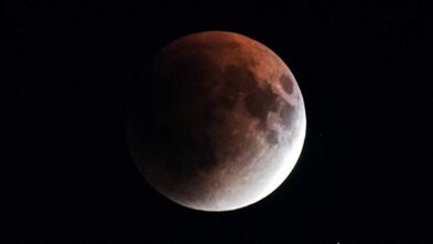 Ученые разработали метод сохранения бицепсов для покорителей космоса.