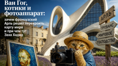 Современная интерпретация Ван Гога с котиками в Арле