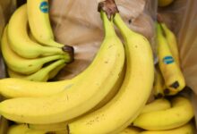 Яркое и аппетитное изображение блюд из тайного меню, которое поднимает настроение.