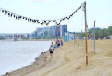 Ученые очищают пляжи Анапы от мазута с помощью подсолнечного масла