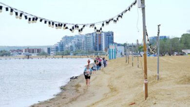 Ученые очищают пляжи Анапы от мазута с помощью подсолнечного масла