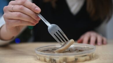 Изображение серебристой селедки на столе, окруженной праздничными атрибутами