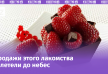 Десерты с малиной и шоколадом, популярные в России этим летом