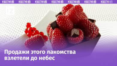 Десерты с малиной и шоколадом, популярные в России этим летом