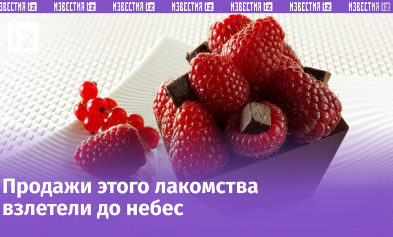 Десерты с малиной и шоколадом, популярные в России этим летом