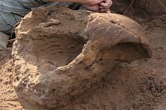 Рендеринг рогатого гиганта, найденного в Оренбургских песках, с ледниковыми пейзажами на заднем плане.