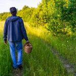 Грибник нашел влюбленную пару земных звезд в омском лесу