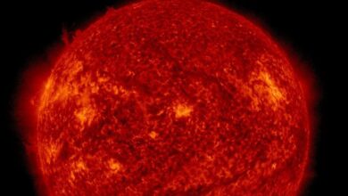 Иллюстрация формирования Солнца из космической пыли