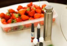 Ростовские алхимики работают с отходами, превращая их в плодородный чернозем