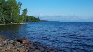 Дайверы исследуют подводные находки в Онежском озере, включая древних лебедей.