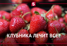 Яркая клубника на фоне зелени