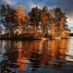 Кусок леса в Канаде отправился в круиз