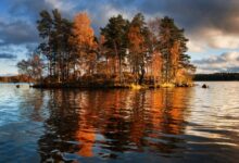 Кусок леса в Канаде отправился в круиз