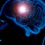 Изображение, иллюстрирующее открытие ученых о иммунной системе в черепе