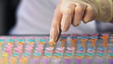 Изображение лиственницы в сибирской тайге, символизирующее исследование стройности.