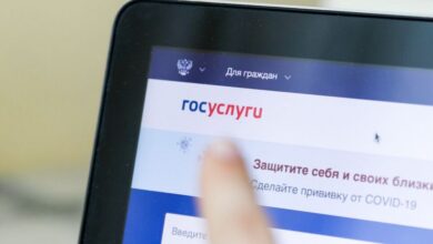 Портал Госуслуг упрощает процесс записи первоклассников в школу